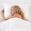Bed Pillow (Traditional Pillow-STD (Soft)) image 2