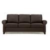 Ottawa Stationary Leather Sofa (Ottawa 77338-01) image 1