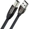 Carbon USB AB (0.75m) image 1