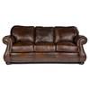Stationary Leather Sofa (8755-30-186) image 1