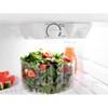 28in 14cu.ft. Top Mount Freezer Refrigerator (ART104TFDW) image 2