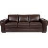 Zane Stationary Leather Sofa (710-485 LF974979) image 1