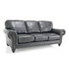 Stationary Leather Sofa (3909_VIP_Black_Sofa) image 1