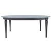 Oval Canadel Dining Table (TRN060602267MPBB1) image 1