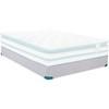 Springwall Chiropractic Queen Foundation (Durasystem Hi-Profile Foundation (Queen)) image 1