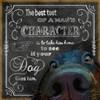 Character A-LC0321 image 1