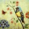 Summer Song C9182 image 1