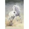 Horsing Around C0050 image 1