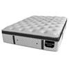 Savoy Plush Euro Top Mattress Set (Queen) image 2