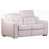 Corrado Stationary Leather Loveseat (CORRADO-002-Princess Frost) image 1