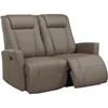 Lainee Reclining Leather Loveseat (L0575-MEC-OP) image 1