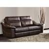 Skylar Reclining Leather Sofa (41606-06) image 1