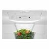 30-inch, 18.6 cu. ft. Bottom Freezer Refrigerator (MBL1957FEZ) image 4