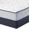 Hopkins Firm Mattress Set (Queen) image 3
