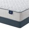 Thistlepark Firm Mattress (Twin XL) image 3