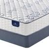 Foreman Firm Mattress Set (Queen) image 3