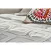 Surprise Plush Pillow Top Mattress Set (Queen) image 10