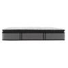 Surprise Plush Pillow Top Mattress Set (Queen) image 3