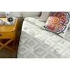 Surprise Plush Pillow Top Mattress Set (Queen) image 9