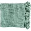 Tibey TBE5000-4952 Throw - Aqua image 1