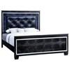 Bellanova Queen Upholstered Panel Bed (CM7979BK-Q-BED) image 1