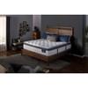 Sedgewick Firm Super Pillow Top Mattress (Twin) image 6