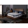 Sedgewick Firm Super Pillow Top Mattress (Twin) image 7