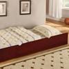 Omnus CM-TR452-CH Trundle image 1
