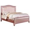 Ariston Queen Upholstered Panel Bed (CM7171RG-Q-BED) image 1