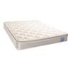 Hyannis Plush Pillow Top Mattress (Queen) image 1