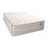 Hyannis Plush Pillow Top Mattress (Queen) image 2