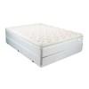 Ivybridge Pillow Top Mattress (Queen) image 2