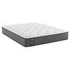 Johanne Plush Tight Top Mattress (Queen) image 1