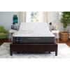 Johanne Plush Tight Top Mattress (Queen) image 12