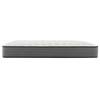 Johanne Plush Tight Top Mattress (Queen) image 2