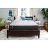 Johanne Plush Tight Top Mattress (Queen) image 7
