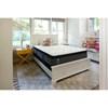 Misha Plush Pillow Top Mattress (King) image 9