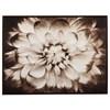 Phiala A8000103 Wall Art image 1