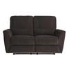 Dowling Reclining Fabric Loveseat (8257BRW-2) image 1