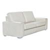 Sage Stationary Sofa (Sage 10169-FIX-09 Condo Sofa) image 1