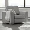 Serena Stationary Chair (Serena 10062-FIX-02 Chair) image 1