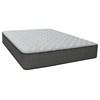 Edge 3000 Extra Firm Mattress Set (Full) image 2