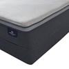 Adalyn Euro Top Mattress (Twin XL) image 4