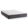 Thurston Tight Top Mattress Set (Queen) image 3