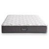Thurston Tight Top Mattress Set (Queen) image 4