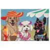 Frontporch 1808/44 Rug - Sassy Lassies Bright image 1