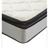 Douglas Plush Pillow Top Mattress (Twin) image 1