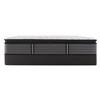 Thorton Plush Euro Pillow Top Mattress Set (Twin) image 2
