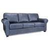 Leather Queen Sofabed (3179 Queen Sofabed) image 2