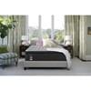 Torringham Euro Pillow Top Mattress Set (Queen) image 6